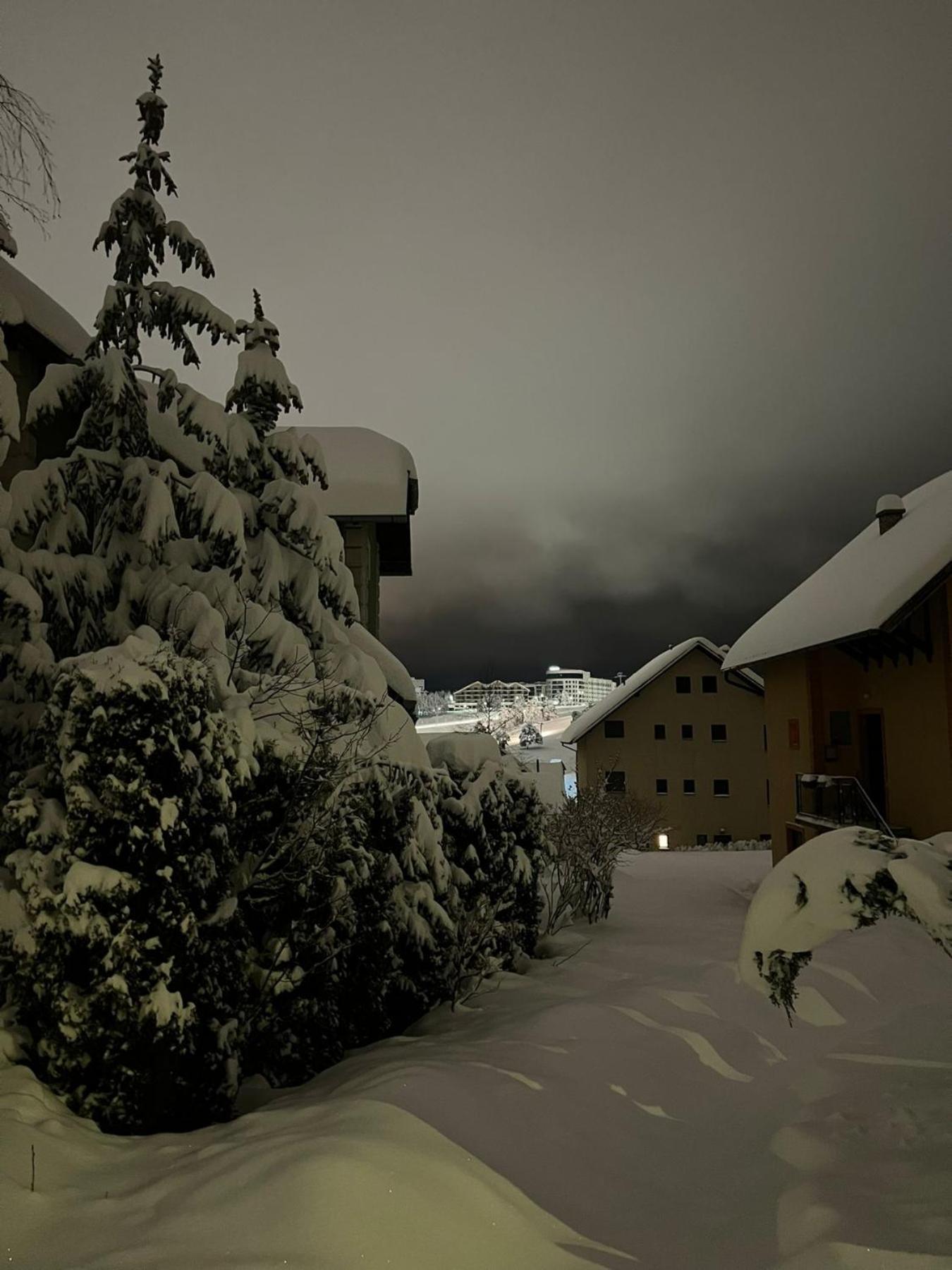 Apartmani Jasmina Zlatibor Esterno foto