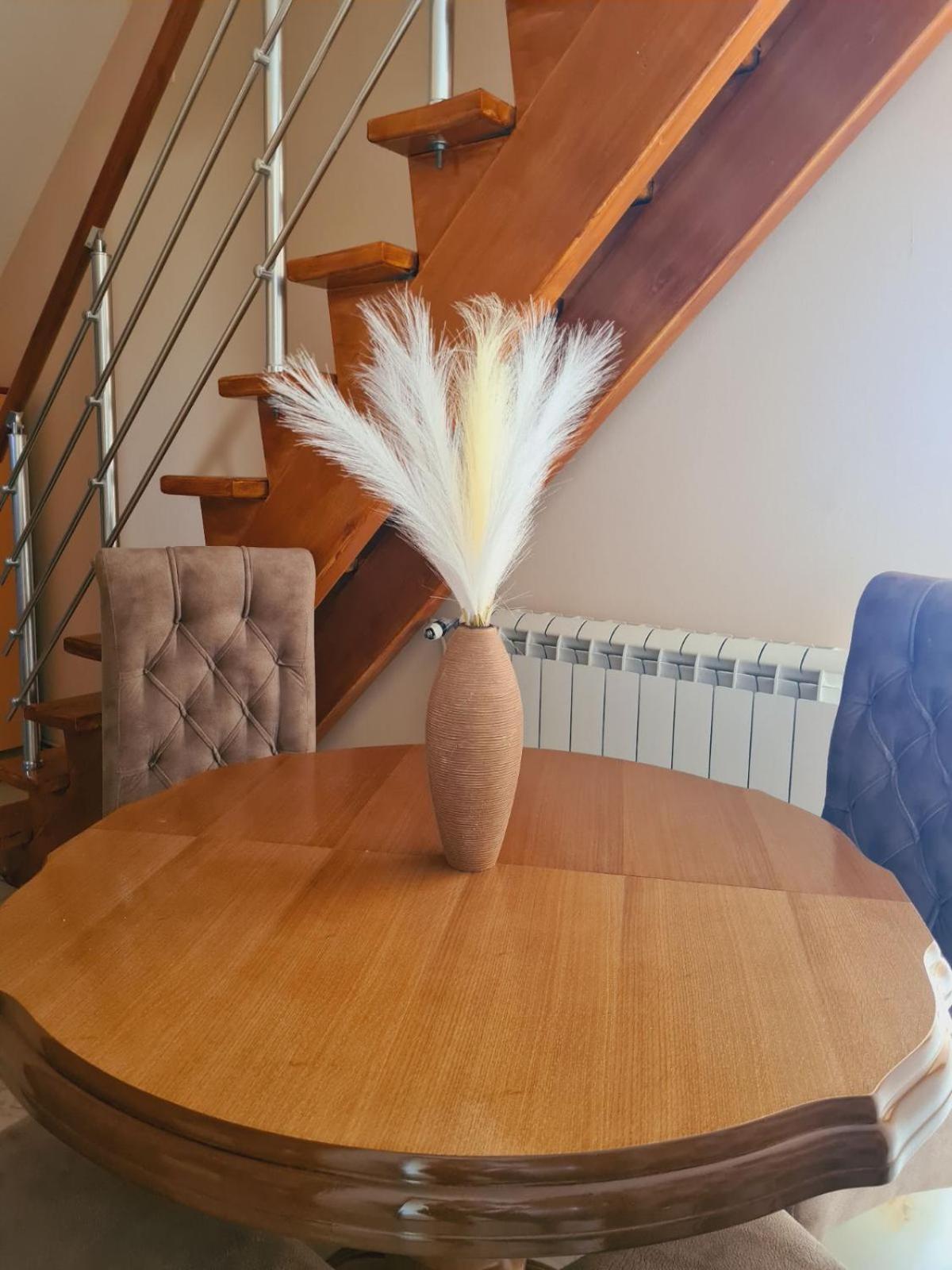 Apartmani Jasmina Zlatibor Esterno foto